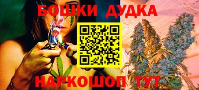 сатива Изобильный